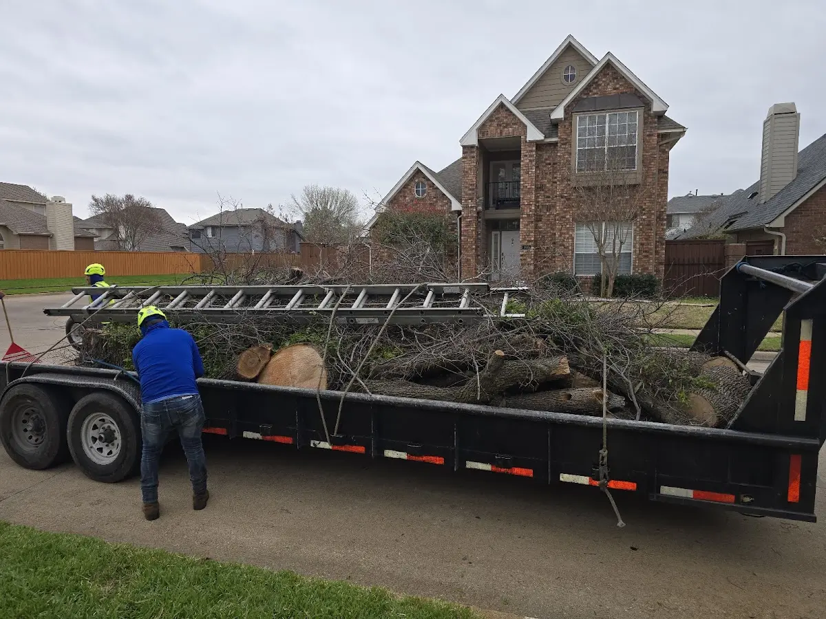 Expert Lot Clearing with proper safety equipment in Wickatunk